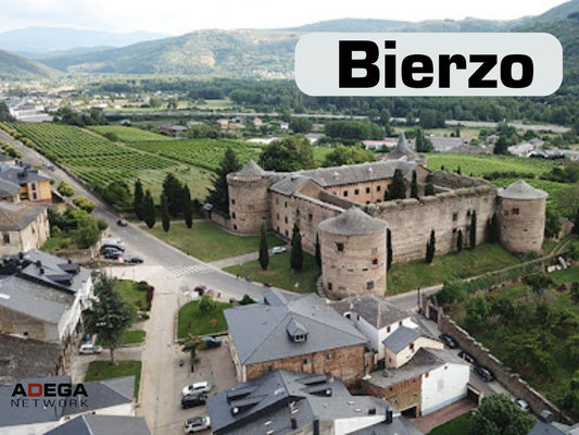 Aula Bierzo